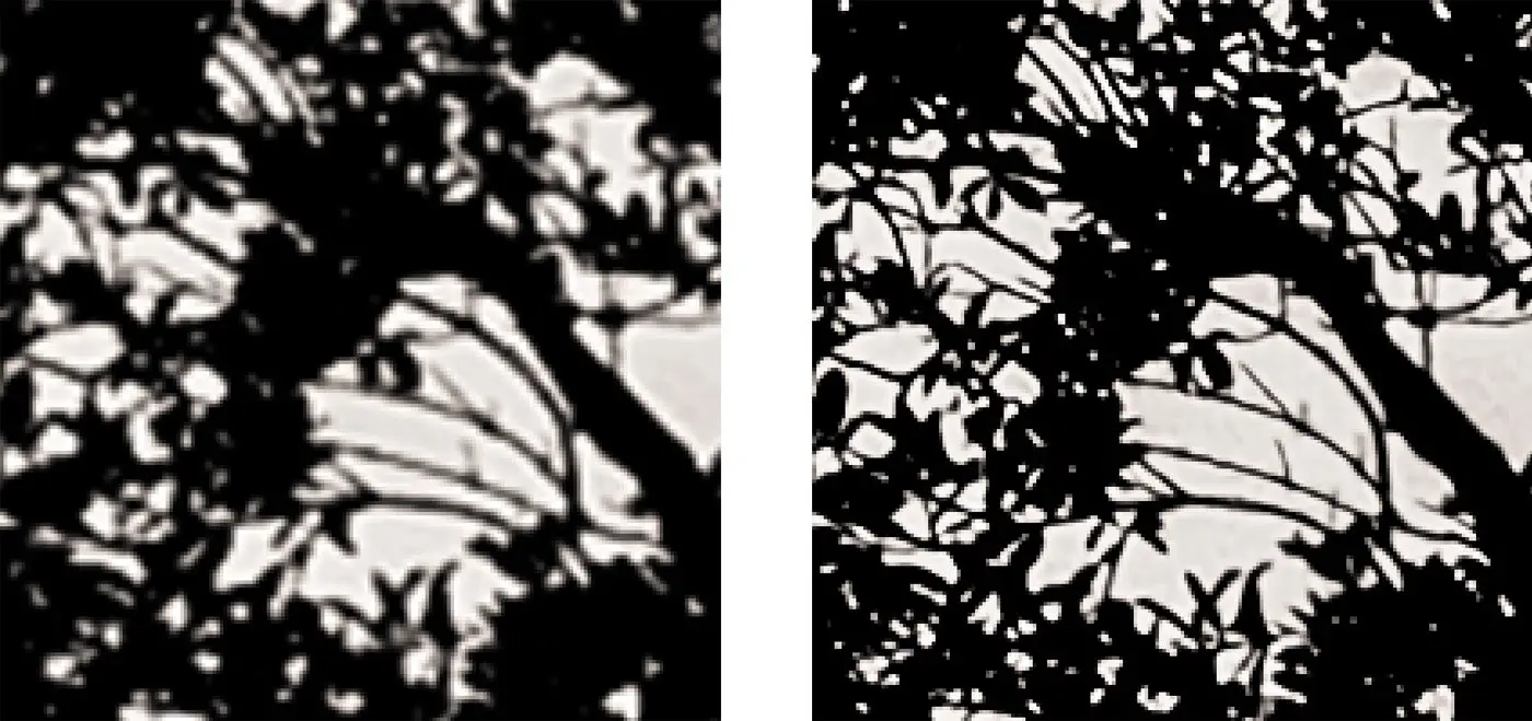 Side by side zoomed image of branches and foliage.