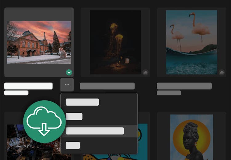 Screen shot of how you can makd cloud documents available offline.