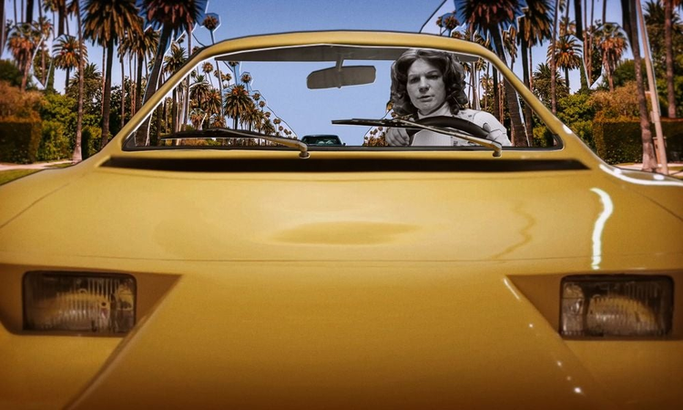 HBO Max's The Lady and The Dale