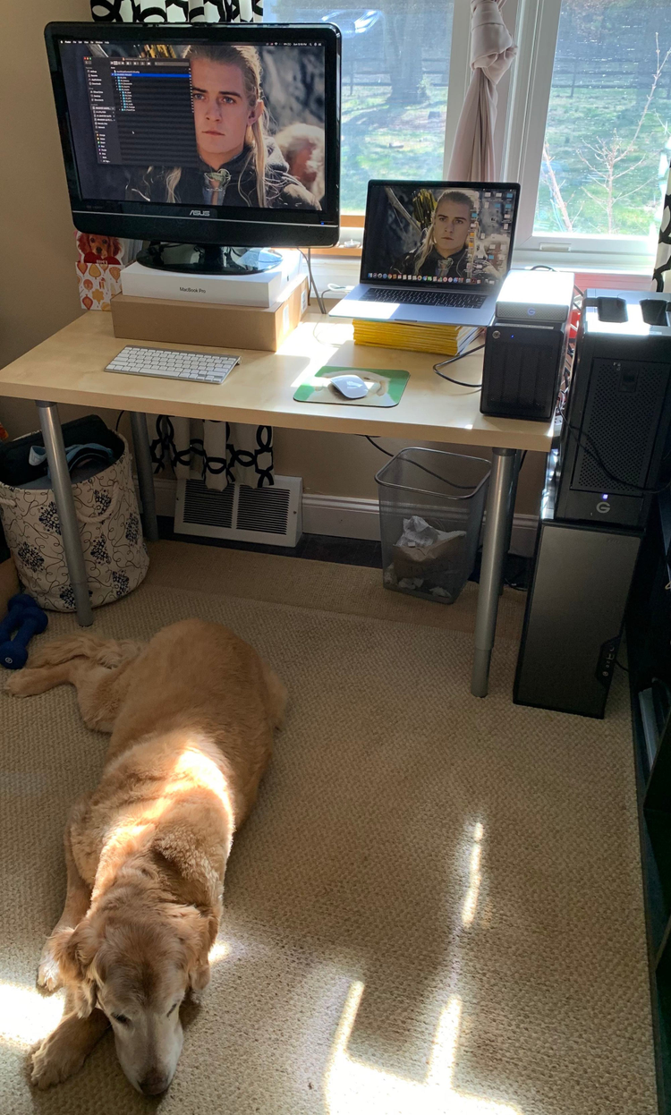 Dita Gruze workspace before “Philly D.A.”