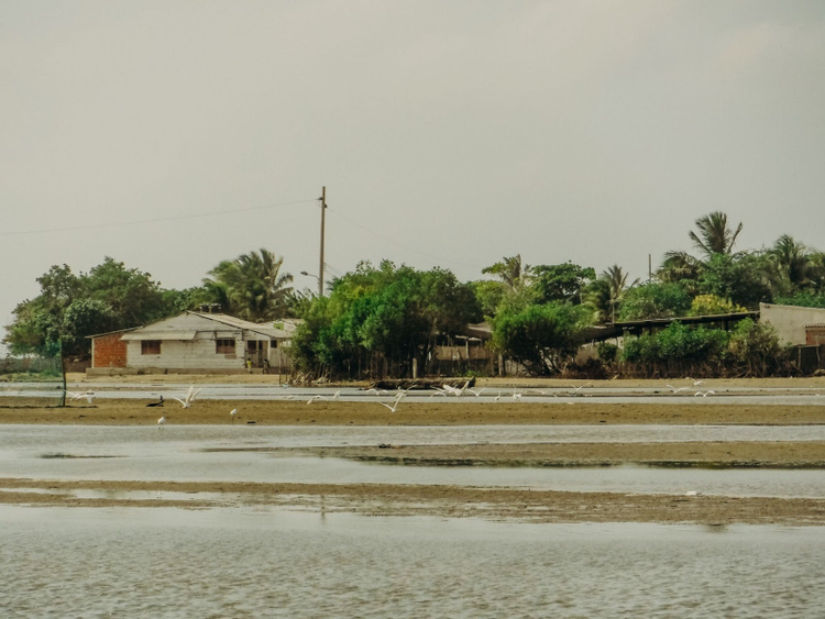 Photo of a neighborhood in Columbia. 