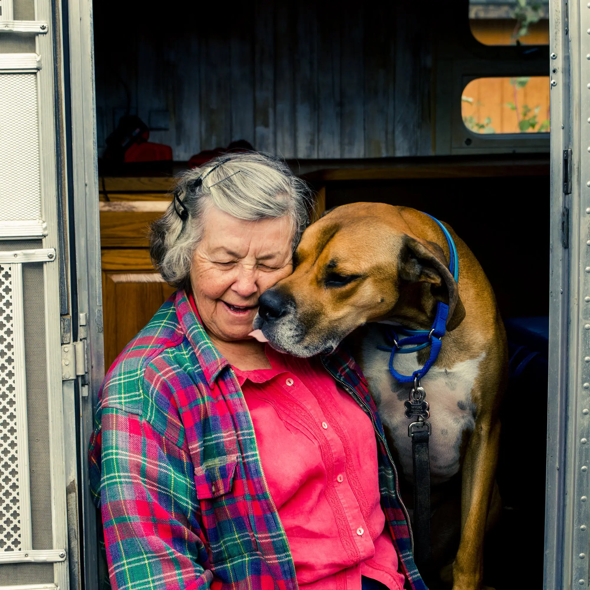 Older women being licked in the face by a dog. 