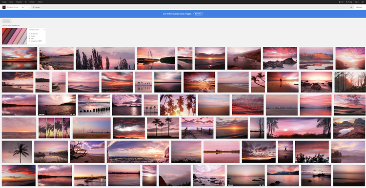 Adobe Stock visual search screenshot