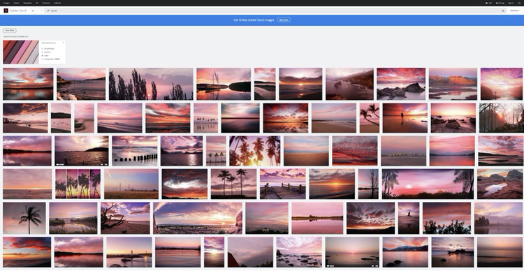 Search results in Adobe Stock showing images based on a “sunset” query that also includes a specific color palette. 