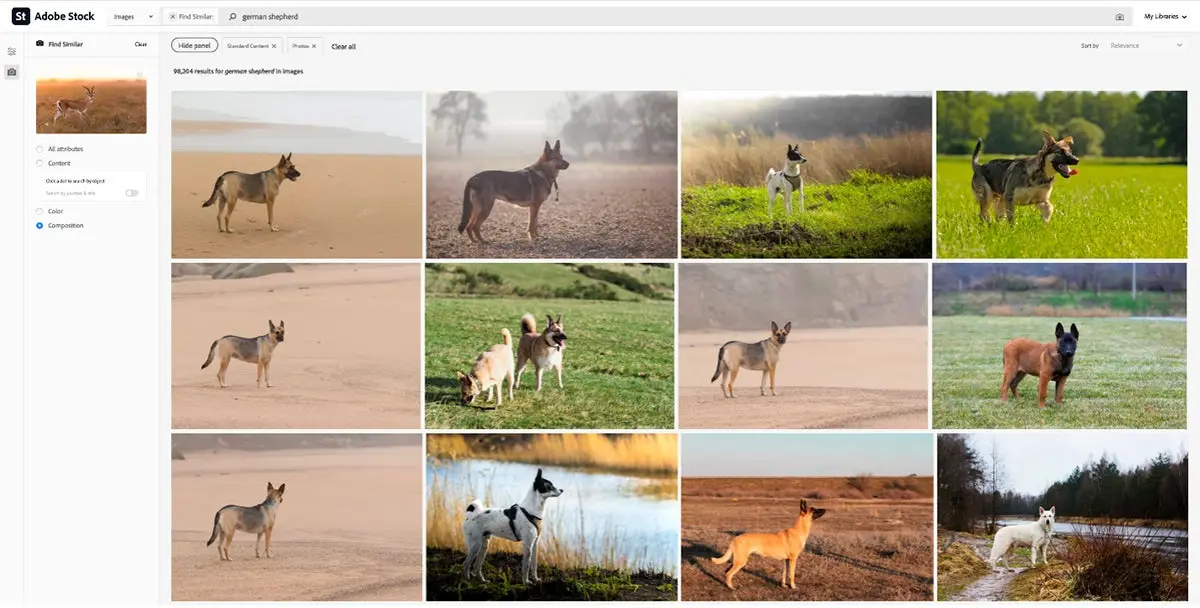 “Find similar” image search results in Adobe Stock for a ‘German shepherd’ query based on an image of a gazelle looking to the right 