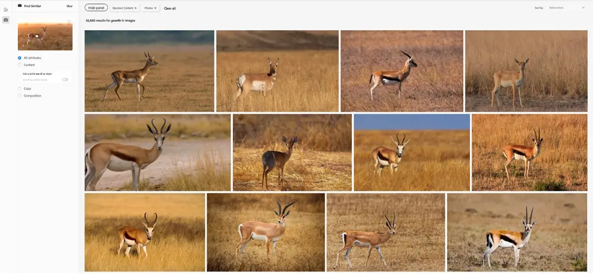“Find similar” image search results in Adobe Stock of a gazelle looking to the right, based on a sample image’s attributes (content, color and composition)