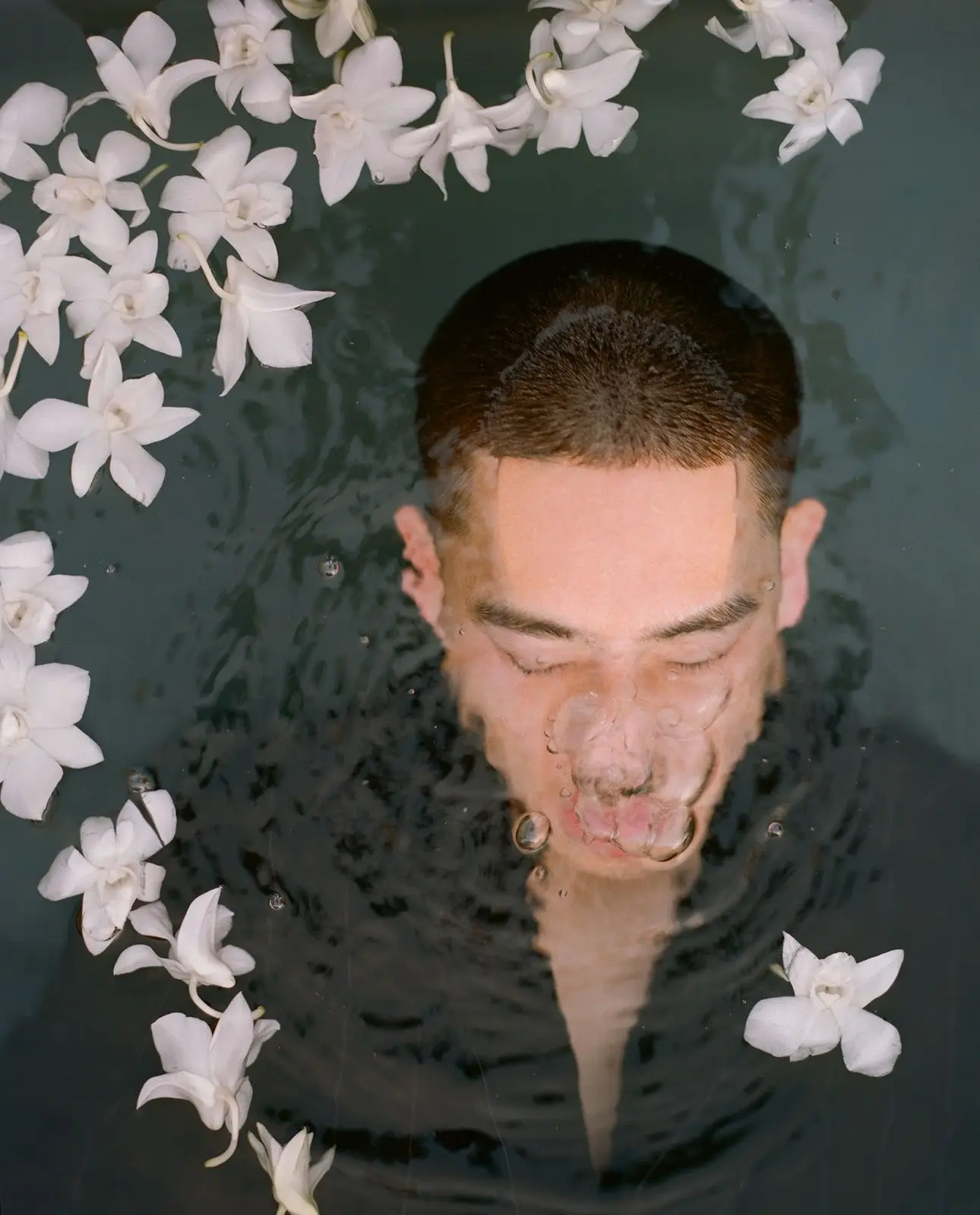Image of a man with his face underwater surrounded by blossoms. 
