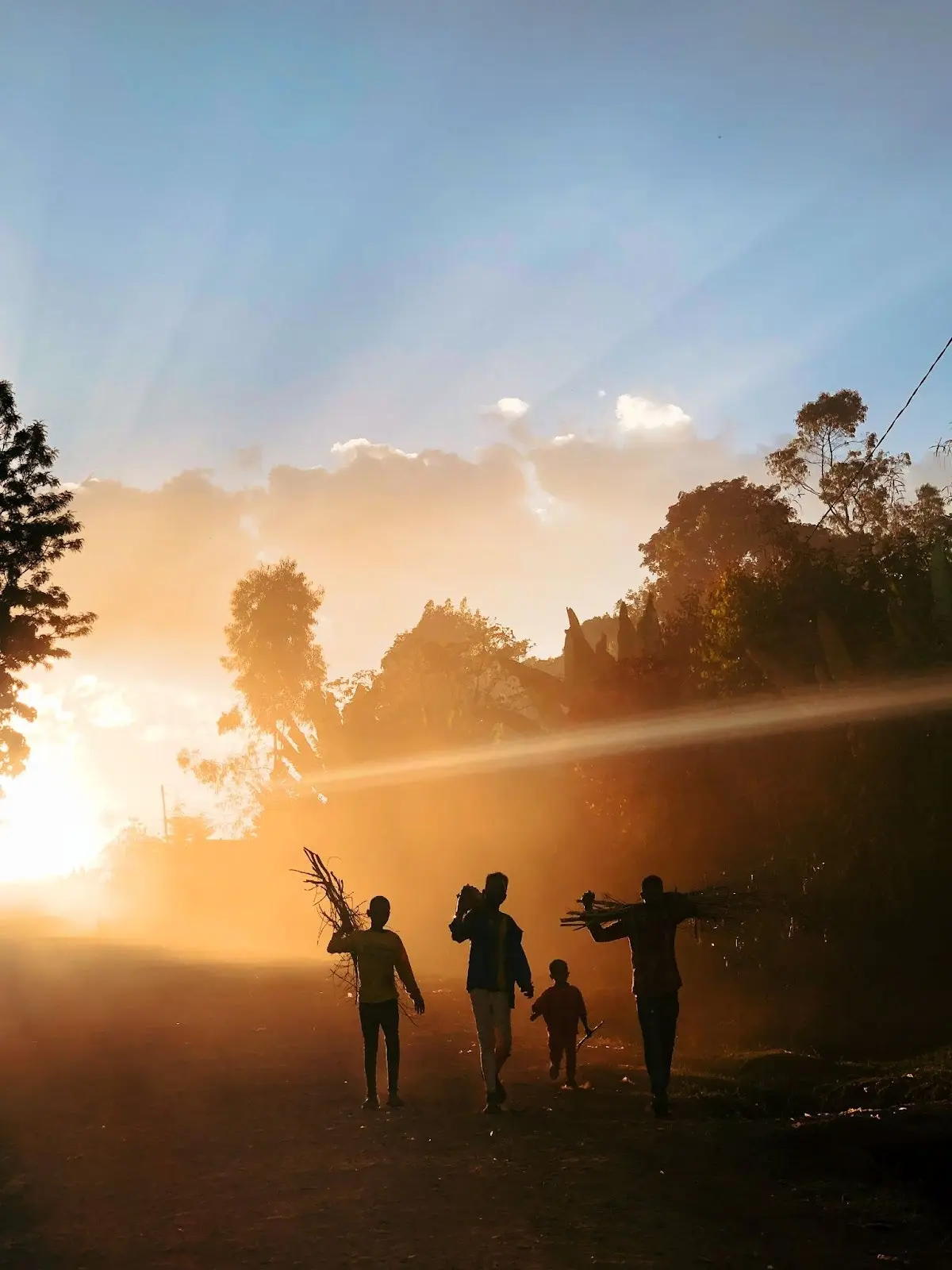 Image of 4 people walking being backlit by the sun. 