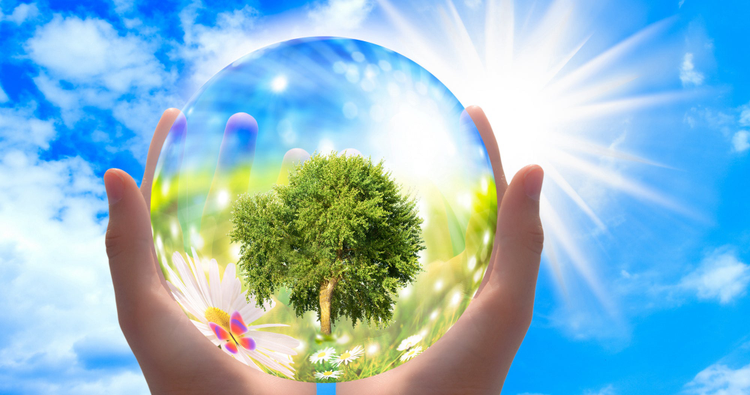 Photo of hands holding glass ball with a tree inside, against a background of blue sky. 