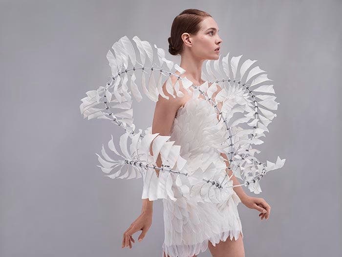 Iris van Herpen couture dress.