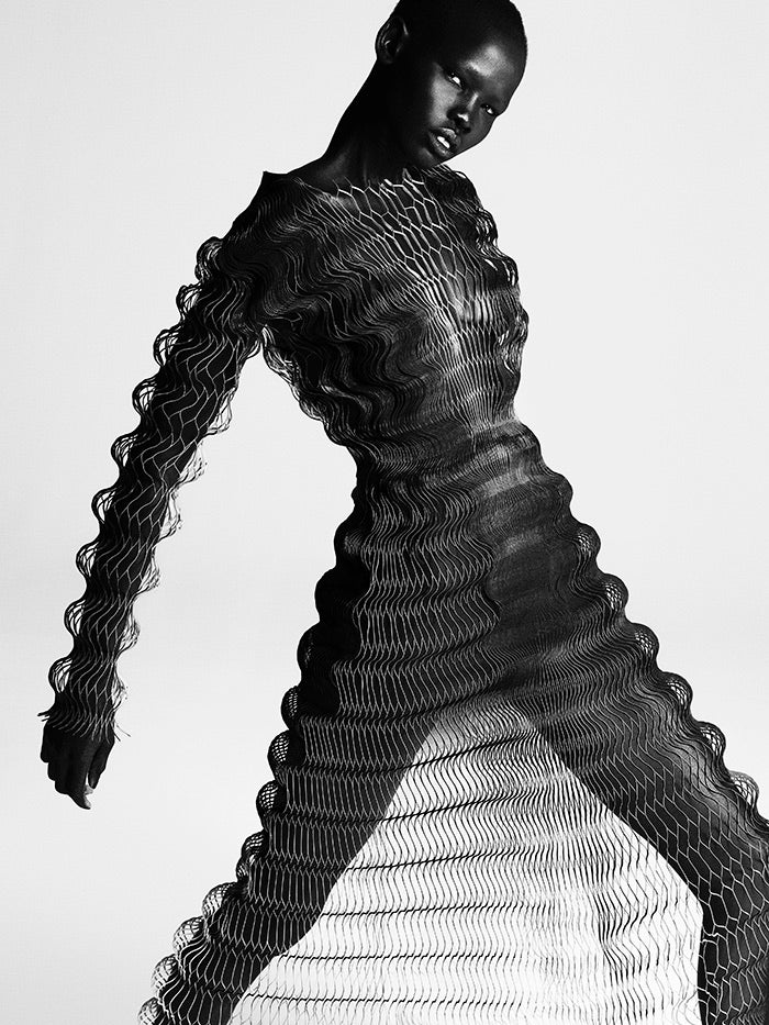 Iris van Herpen couture dress.