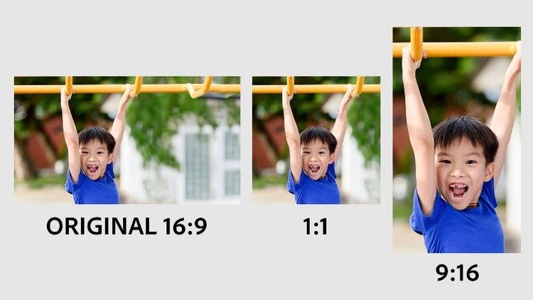 Image of reframing your subject in a photo.