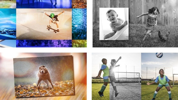 Introducing Adobe Photoshop Elements 2022 & Premiere Elements 2022