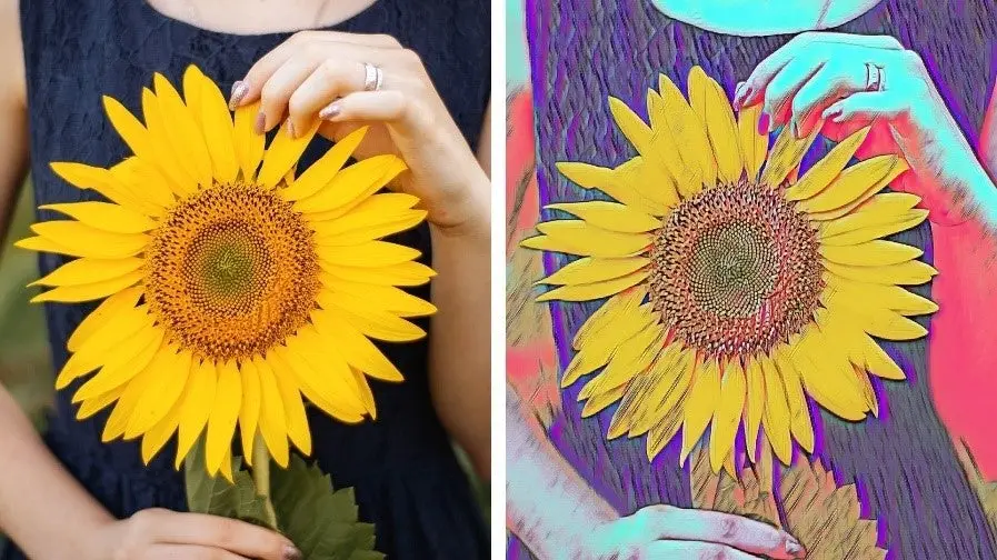 Side-by-side images of a sunflower turned into an illustration with photo editing.