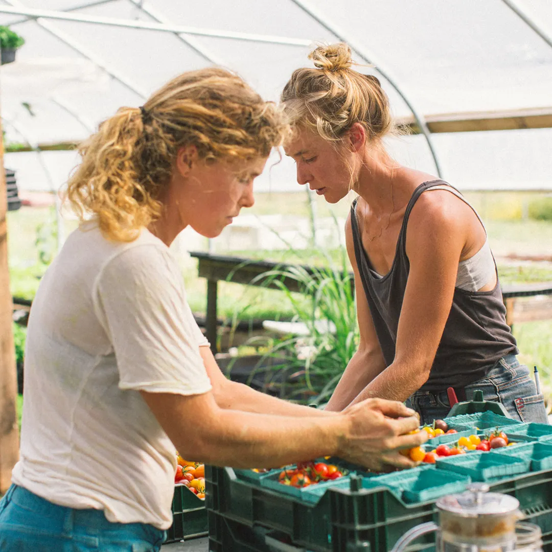 Two women washing fresh picked produce.