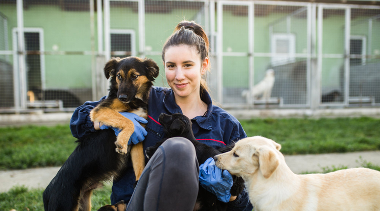 Photo of two adoptable shelter dogs being hugged by a woman