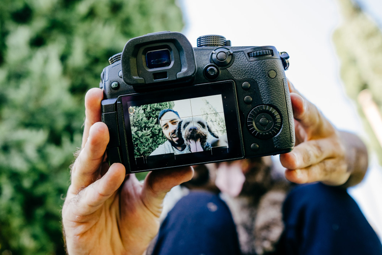 Photo of a dog taken on a DSLR camera.