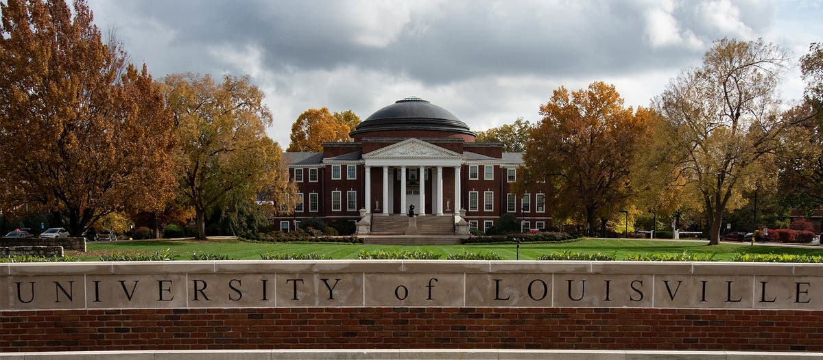 Are you considering purchasing an University of Louisville