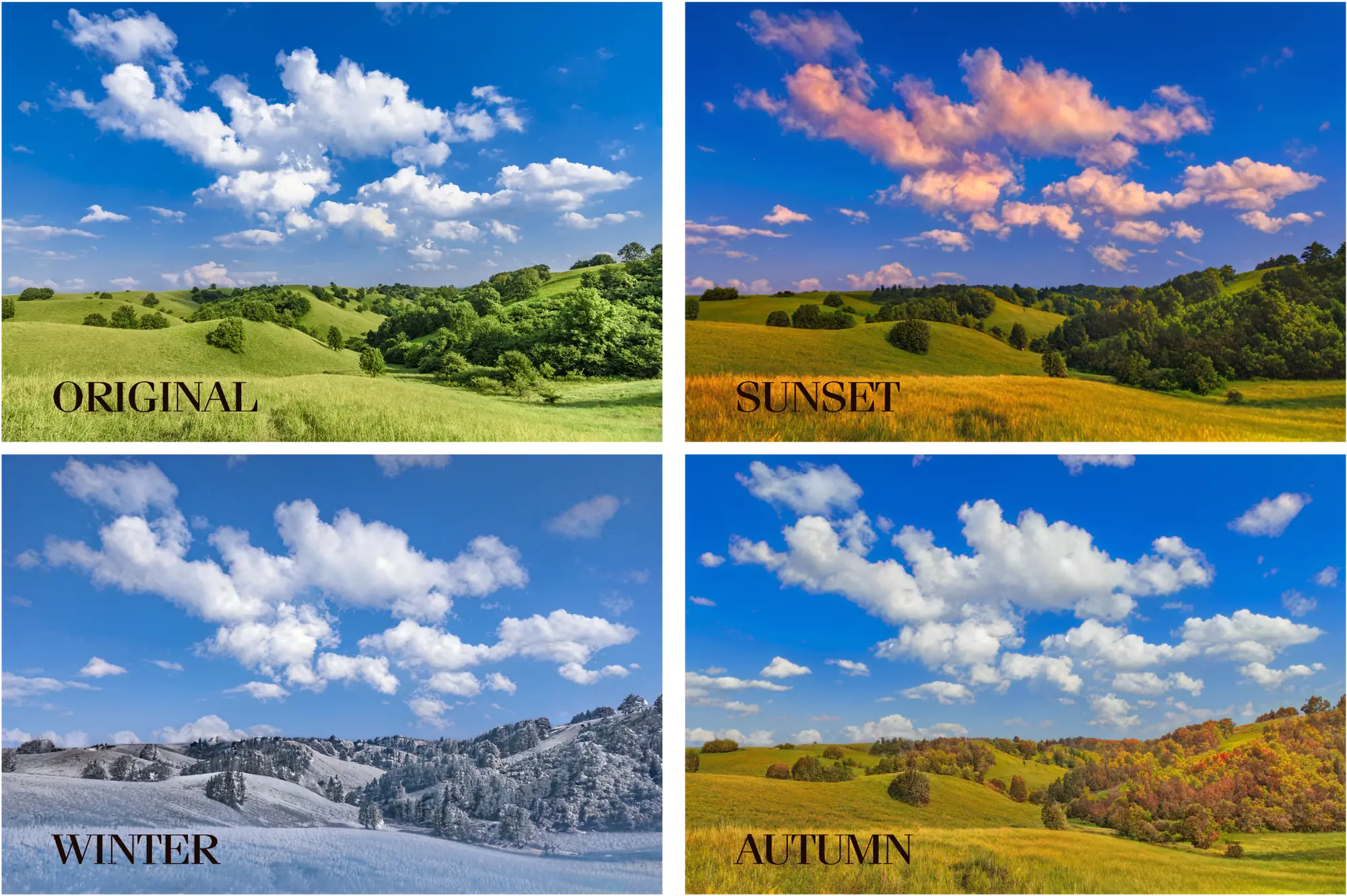 Quatro fotos mostrando o Landscape Mixer (Beta).