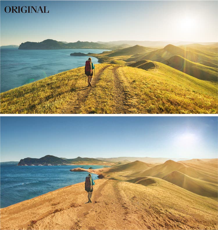 Photo showing the use of Landscape Mixer.