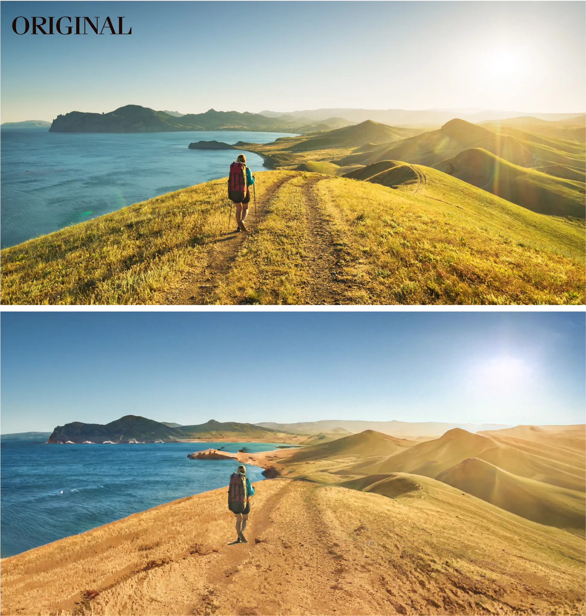 Foto mostrando o uso do Landscape Mixer.