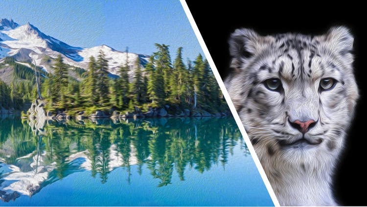 Screenshot of Faster Oil Paint Filter.