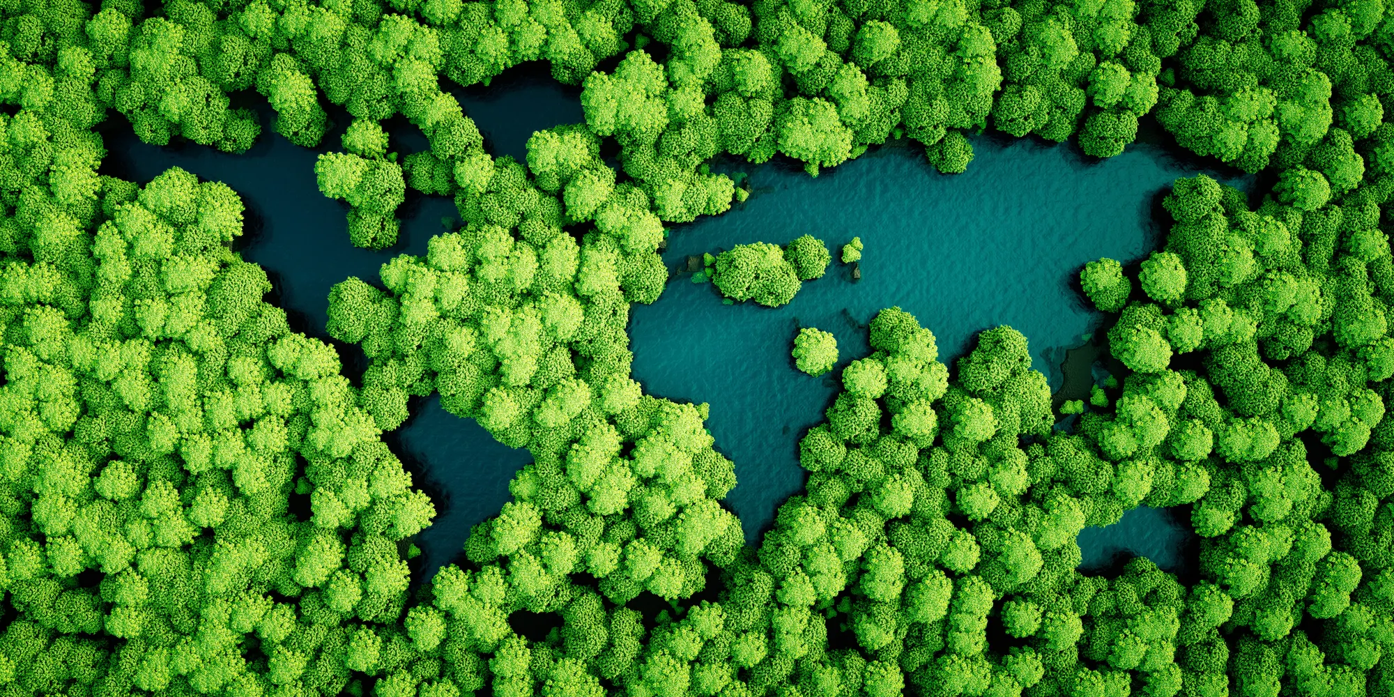 Aerial image of trees and water.