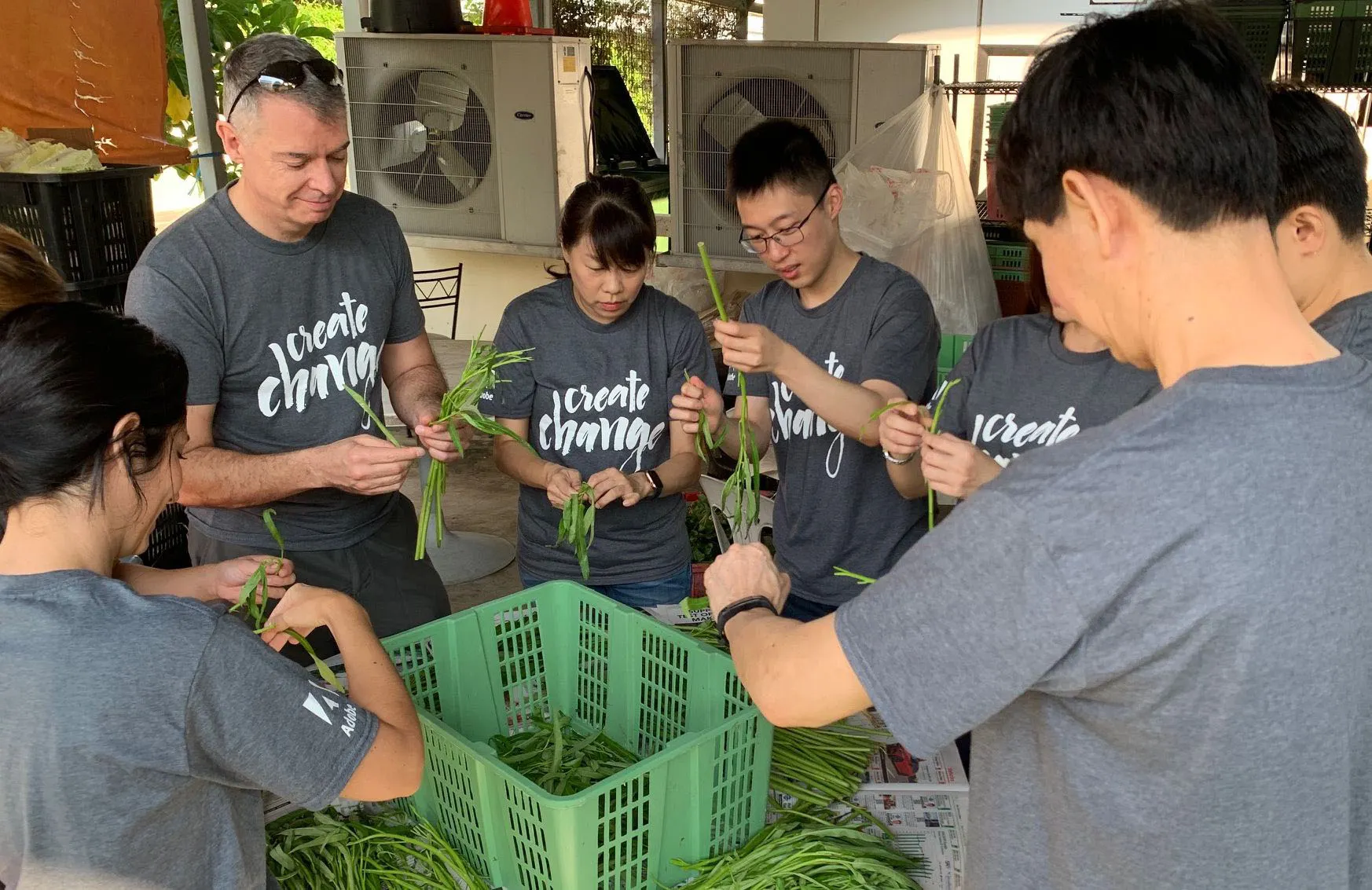 Adobe Singapore employees taking part in a Create Change volunteering opportunity. They are helping to sort vegetables.
