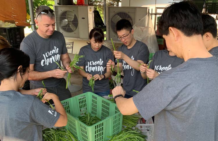 Adobe Singapore employees taking part in a Create Change volunteering opportunity. They are helping to sort vegetables.