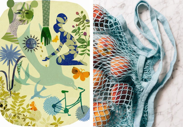 Left image is illustration of flowers, leaves suns and hands, right image is a net bag of fruit.