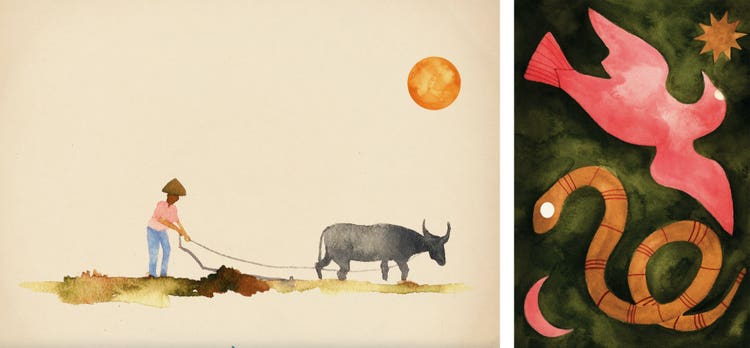 Images by Wiji Lacsamana.