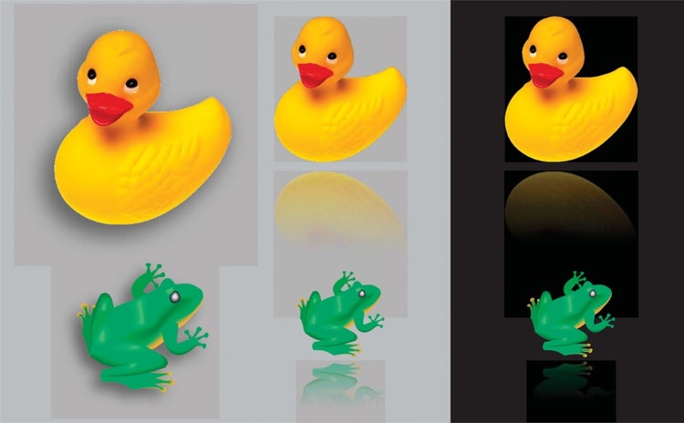 Images of yellow rubber ducks and green frogs. 