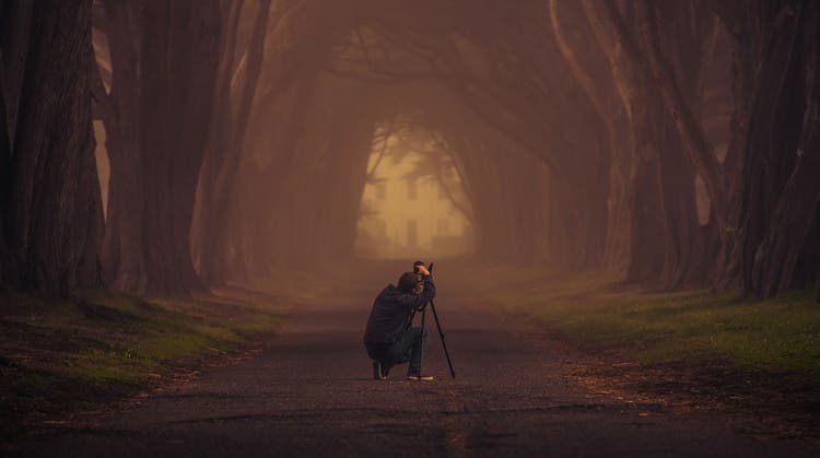 Photographer taking picture of a tree lines