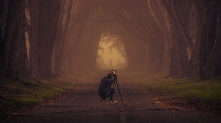 Photographer taking picture of a tree lines