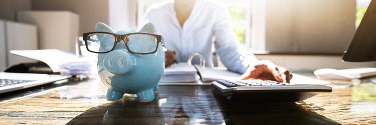 Financial Advisor With Piggybank.