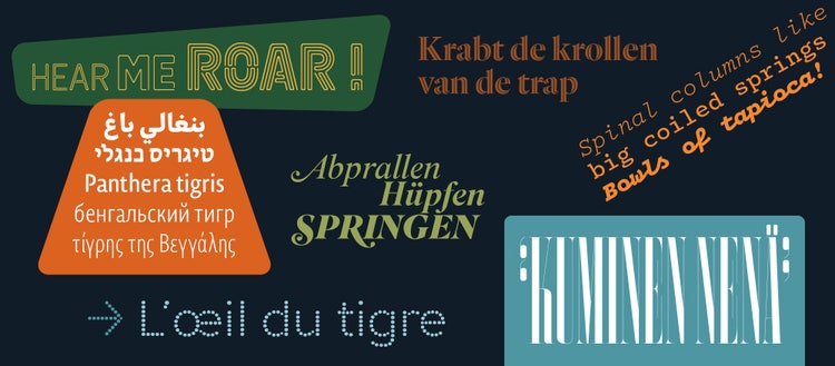 First font roundup of 2022.