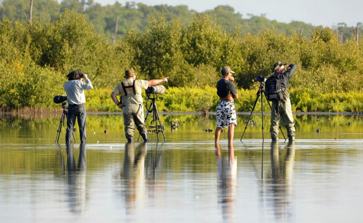 Photograph of a group of photographers with cameras standing in the water.