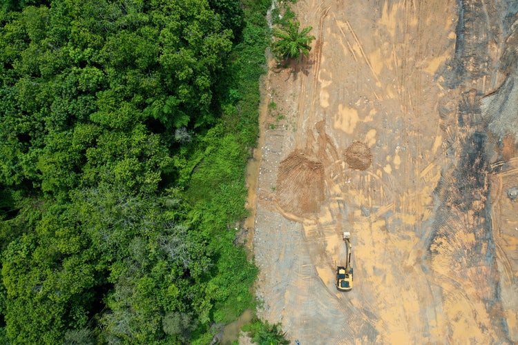 Drone image of forest and land surrounding it. 