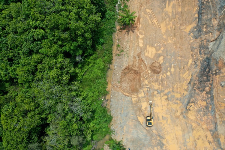 Drone image of forest and land surrounding it.