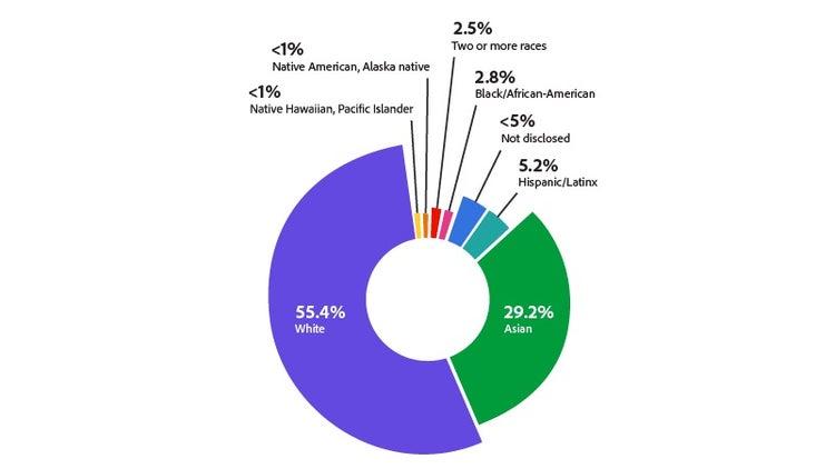 Circle graph of US URM representation by race/ethnicity.