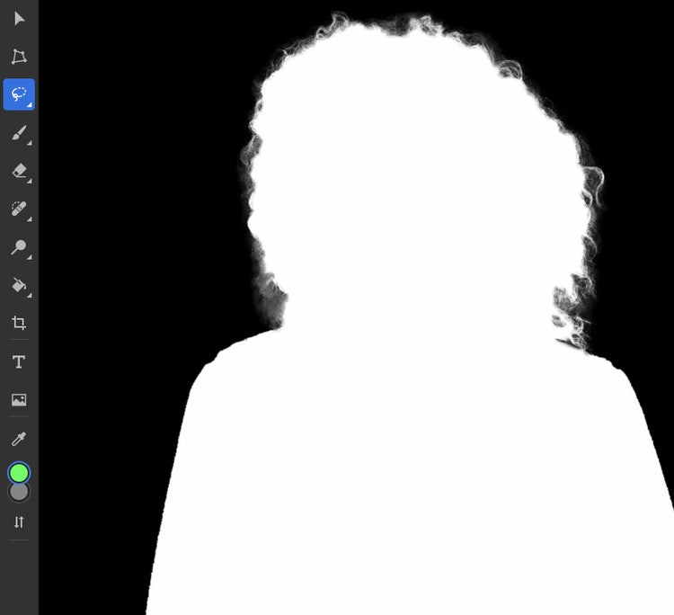 Image using Select Subject on Photoshop for iPad.