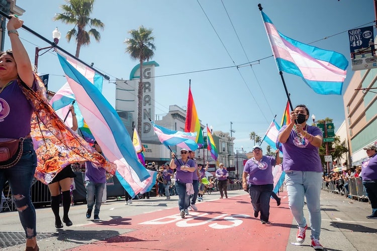 Photograph of Pride parade.