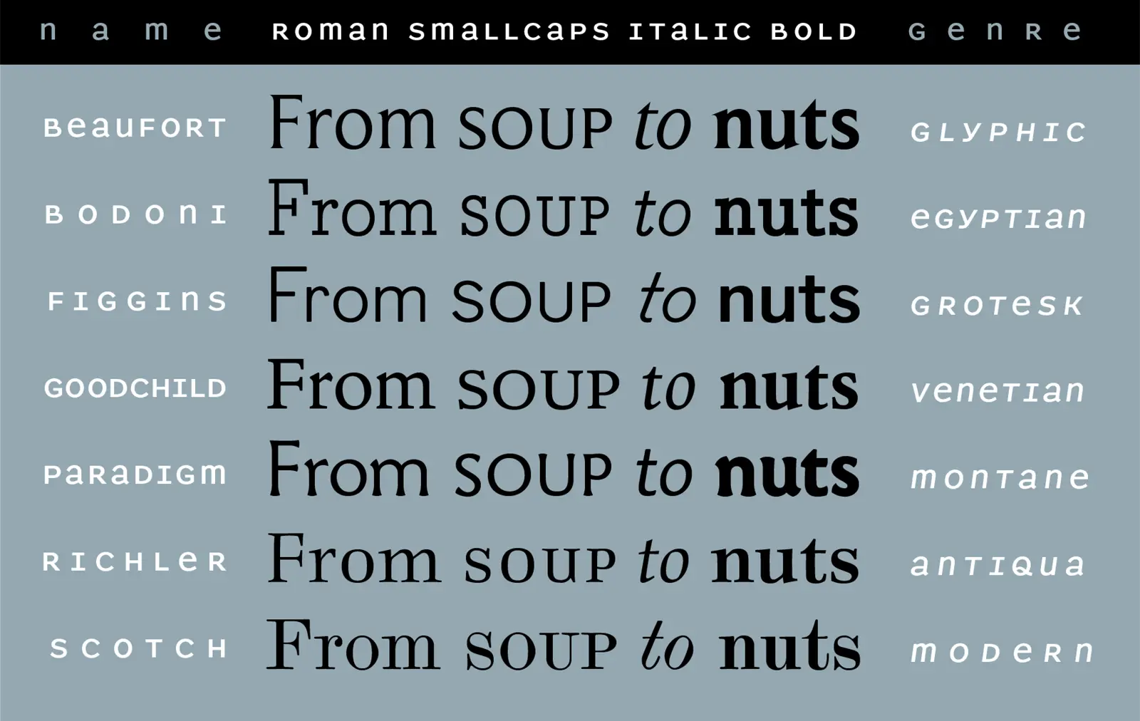 With small caps, oldstyle figures, swash characters, and extended language support for most families, Shinntype fonts feature all the bells and whistles for sophisticated text typography. 