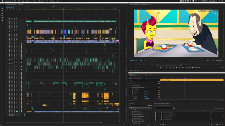 Felipe Salazar Premiere Pro Timeline on Human Resources.