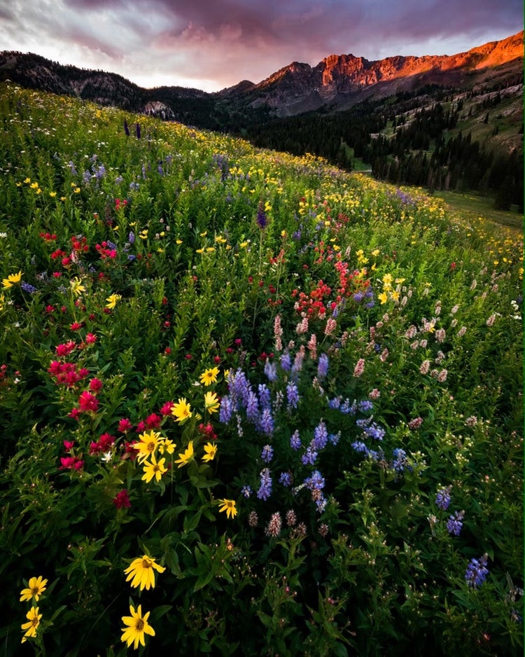 Photograph by Mylo Fowler