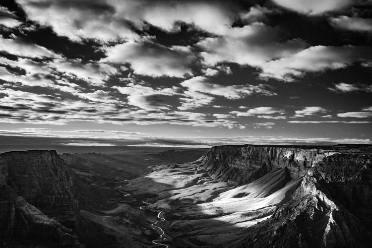 Photograph by Mylo Fowler