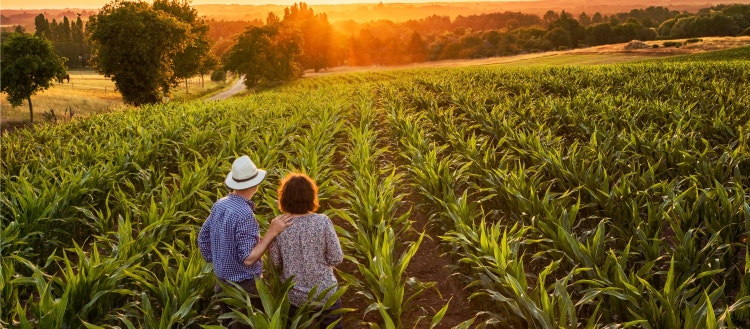 A farmer and his wife standing in their cornfield at sunset.