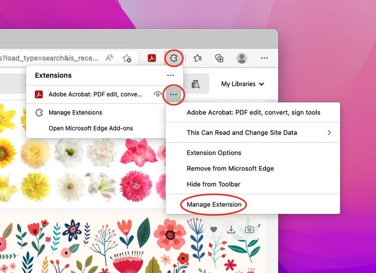 Acrobat in Microsoft Edge.