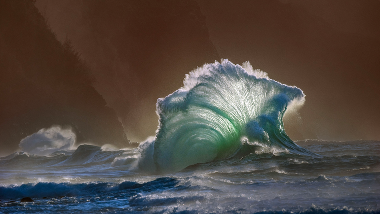 Image of a backlit wave. 