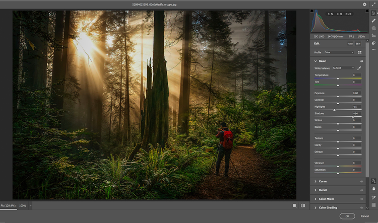 Image of what an underexposed image looks like in Adobe Lightroom. 